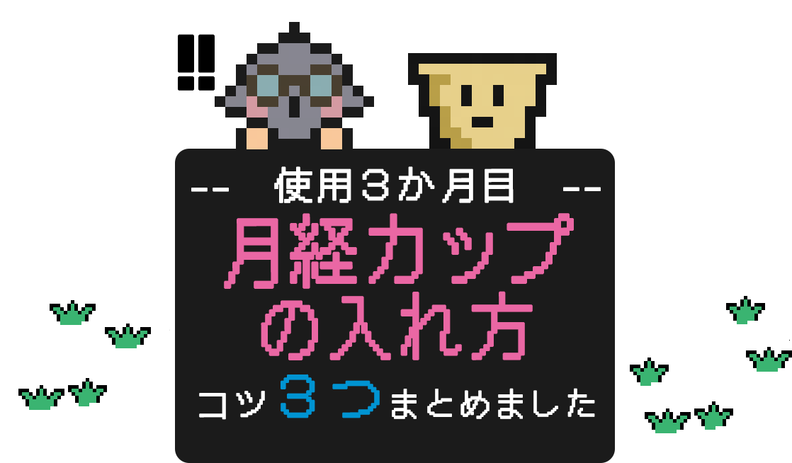 使用３か月目、月経カップの入れ方コツ３つまとめ